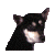 ubu