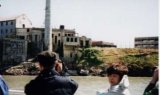 alcatras